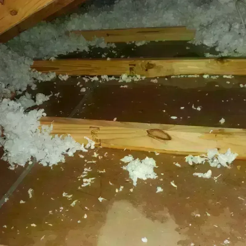 Attic Water Damage in Walker, MI