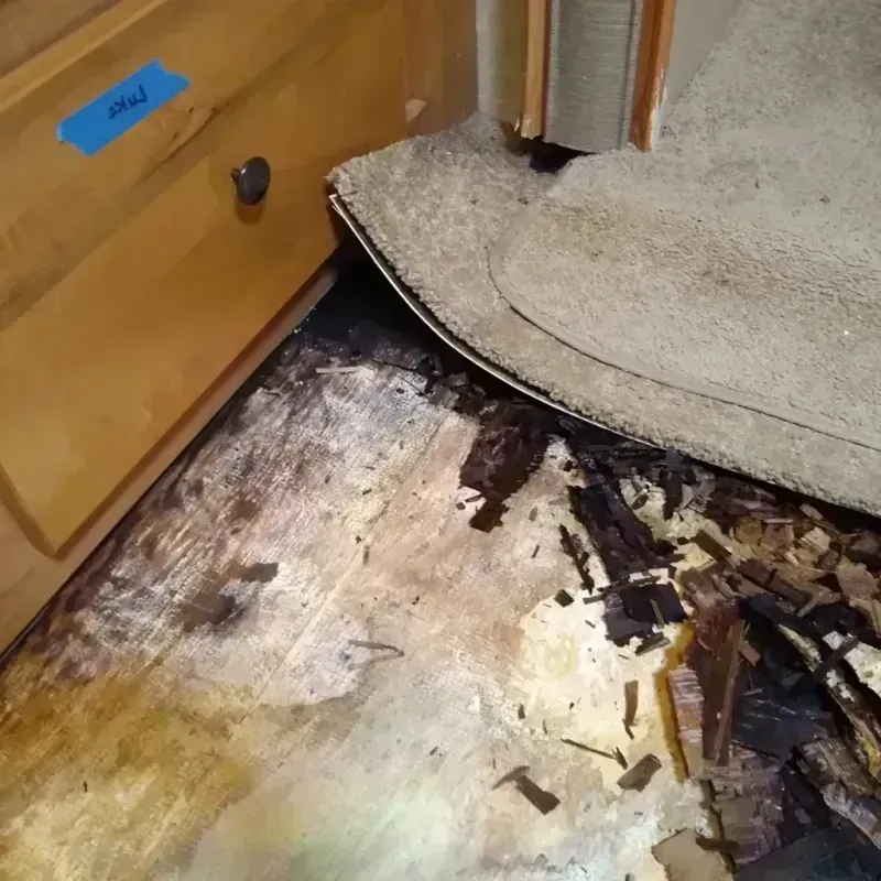 Wood Floor Water Damage in Walker, MI